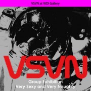 VSVN at WDI Gallery