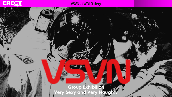 VSVN at WDI Gallery