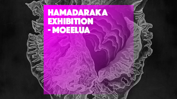 hamadaraka_hp_1